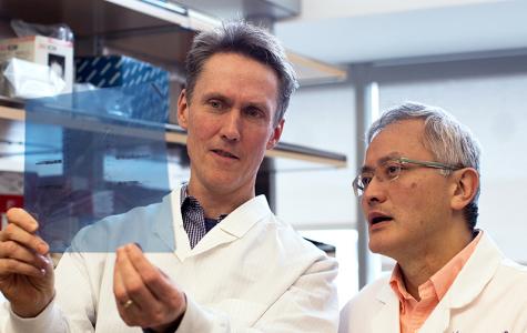 Joseph Costello and Hideho Okada discuss results at the lab bench